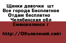 Щенки девочки 4шт - Все города Бесплатное » Отдам бесплатно   . Челябинская обл.,Еманжелинск г.